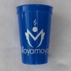 Stadium Cup - 17oz