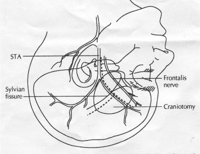 Figure 8